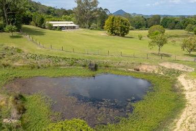 Residential Block Auction - QLD - Eerwah Vale - 4562 - Magnificent 30 Acres, Sheds, Views, and More (Image 2)