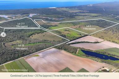 Land/Development For Sale - QLD - Calavos - 4670 - Flexible Coastal Acreage Opportunity - Buy One, Two or Secure the Entire Holding  (Image 2)