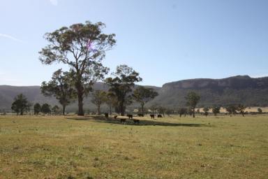 Other (Rural) For Sale - NSW - Rylstone - 2849 - SECLUDED ECO LIFESTYLE DREAM (Image 2)