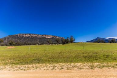 Other (Rural) For Sale - NSW - Rylstone - 2849 - SECLUDED ECO LIFESTYLE DREAM (Image 2)
