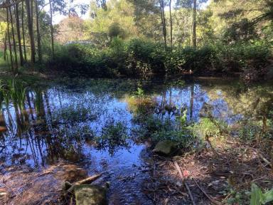 Farmlet For Sale - VIC - Toora North - 3962 - Hilltop hideaway - picturesque acreage block  (Image 2)