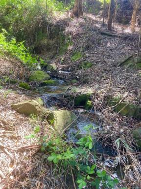 Farmlet For Sale - VIC - Toora North - 3962 - Hilltop hideaway - picturesque acreage block  (Image 2)