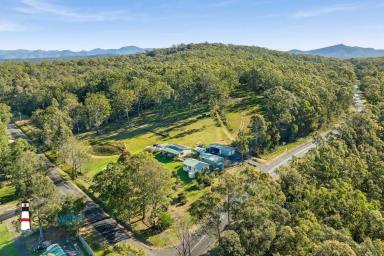 Acreage/Semi-rural For Sale - NSW - Mogendoura - 2537 - Council approved proposed subdivision @ Moruya (Image 2)