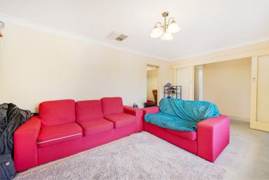 House Auction - NSW - Tamworth - 2340 - NEAT, SWEET AND COMPLETE  (Image 2)