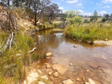 Acreage/Semi-rural Sold - NSW - Bannaby - 2580 - 175 ACRES, Permanent Creek, Perfect For Weekender, Views, Road Front, Power.  (Image 2)