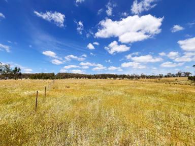 Acreage/Semi-rural Sold - NSW - Bannaby - 2580 - 175 ACRES, Permanent Creek, Perfect For Weekender, Views, Road Front, Power.  (Image 2)