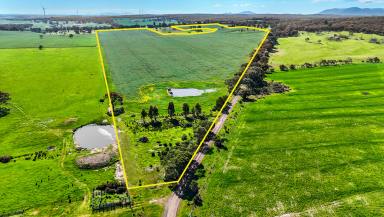 Cropping For Sale - VIC - Beaufort - 3373 - 46.68HA (115.35 Acres ) Exceptional Lifestyle / Farming Opportunity (Image 2)
