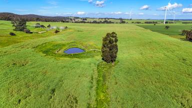 Cropping For Sale - VIC - Beaufort - 3373 - 46.68HA (115.35 Acres ) Exceptional Lifestyle / Farming Opportunity (Image 2)