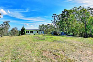 Lifestyle For Sale - NSW - Cedar Creek - 2325 - Sustainable Lifestyle Acreage with Permaculture Infrastructure  (Image 2)