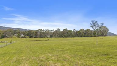 Residential Block For Sale - NSW - Little Hartley - 2790 - Vacant 3.3 Hectare Landholding in a Sought-After Location  (Image 2)