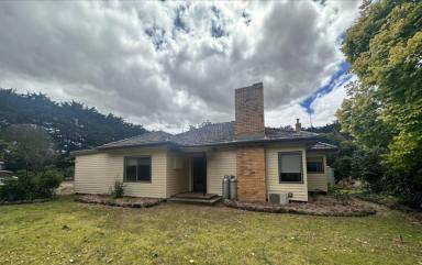 House Leased - VIC - Tarrington - 3301 - *Under Application* Quiet Farm Living  (Image 2)