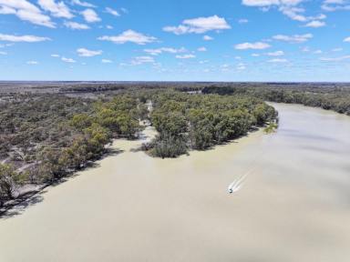 Other (Rural) For Sale - NSW - Wentworth - 2648 - LIVE OR CAMP ON THE MURRAY RIVER  (Image 2)