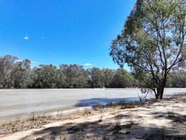 Other (Rural) For Sale - NSW - Wentworth - 2648 - LIVE OR CAMP ON THE MURRAY RIVER  (Image 2)