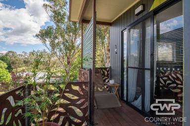 House For Sale - NSW - Glen Innes - 2370 - Charming One-Bedroom Cottage with Versatile Studio Space (Image 2)