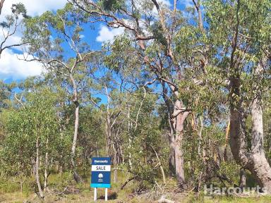 Residential Block For Sale - QLD - Pacific Haven - 4659 - 17 Acres of Pure Potential - Build Your Dream Escape! (Image 2)