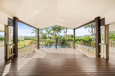 House For Sale - QLD - Forest Glen - 4556 - 8902 Reasons to Inspect this Home  (Image 2)