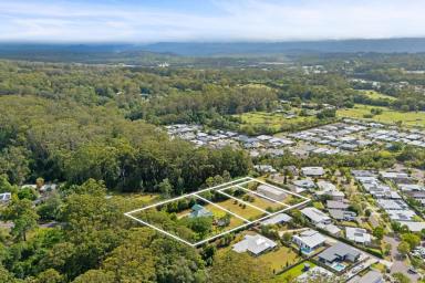 Residential Block For Sale - QLD - Forest Glen - 4556 - Rare Forest Glen Opportunity – Level Lots from 1,462 sqm  (Image 2)