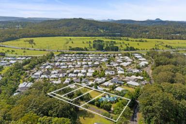 Residential Block For Sale - QLD - Forest Glen - 4556 - Rare Forest Glen Opportunity – Level Lots from 1,462 sqm  (Image 2)