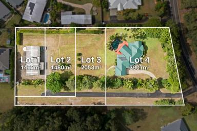 Residential Block For Sale - QLD - Forest Glen - 4556 - Rare Forest Glen Opportunity  (Image 2)