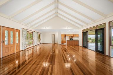 House For Sale - QLD - Forest Glen - 4556 - 8902 Reasons to Inspect this Home (Image 2)