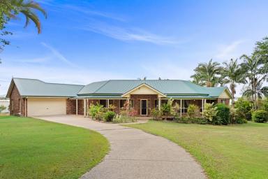 House For Sale - QLD - Forest Glen - 4556 - 8902 Reasons to Inspect this Home (Image 2)