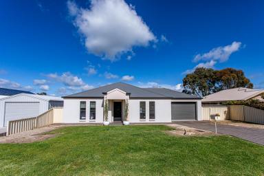 House For Sale - SA - Naracoorte - 5271 - Modern living in easy-care surrounds  (Image 2)