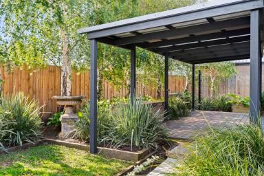 House For Sale - VIC - Apollo Bay - 3233 - STYLE, COMFORT & SUSTAINABILITY (Image 2)