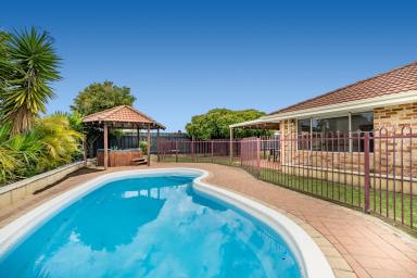 House For Sale - WA - Iluka - 6028 - CHRISTMAS HAS COME EARLY!  (Image 2)