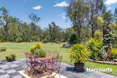 House For Sale - QLD - Redridge - 4660 - RELAX IN YOUR BACKYARD OASIS - WITH YOUR OWN CREEK (Image 2)