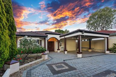 House For Sale - WA - East Victoria Park - 6101 - Grand Family Retreat!  (Image 2)