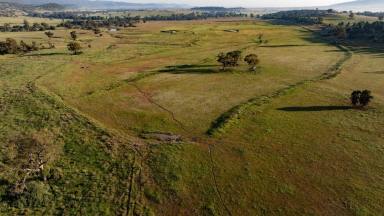 Other (Rural) For Sale - NSW - Bingara - 2404 - Garrambeel, Bingara  (Image 2)