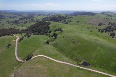 Mixed Farming For Sale - NSW - Yass - 2582 - LARGE SCALE LIVESTOCK BREEDING PLATFORM WITH FUTURE DEVELOPMENT POTENTIAL (Image 2)