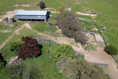 Mixed Farming For Sale - NSW - Yass - 2582 - LARGE SCALE LIVESTOCK BREEDING PLATFORM WITH FUTURE DEVELOPMENT POTENTIAL (Image 2)