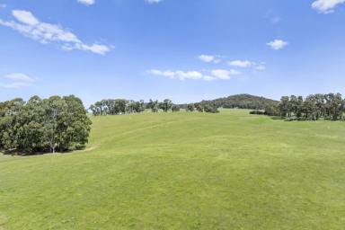 Other (Rural) For Sale - VIC - Boho South - 3669 - Premium Rural Holding – Quality Infrastructure & Versatile Grazing (Image 2)