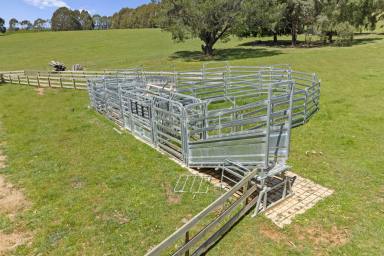 Other (Rural) For Sale - VIC - Boho South - 3669 - Offers Closing March 31st, 2026 at 2pm  (Image 2)