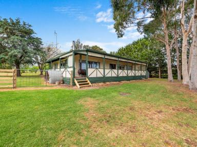 Acreage/Semi-rural For Sale - VIC - Walpa - 3875 - COUNTRY CHARM WITH MOUNTAIN VIEWS  (Image 2)