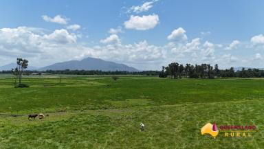 Other (Rural) For Sale - QLD - Euramo - 4854 - Anvil  (Image 2)