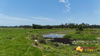 Other (Rural) For Sale - QLD - Euramo - 4854 - Anvil  (Image 2)