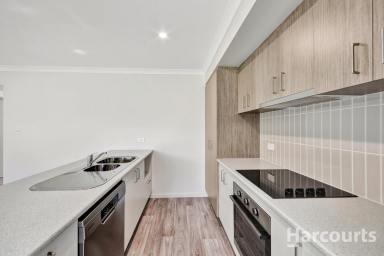 House For Lease - QLD - Branyan - 4670 - Brand New Family Home in Branyan! (Image 2)