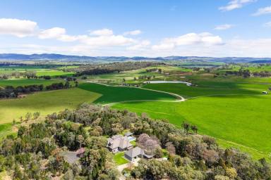 Lifestyle For Sale - NSW - Mudgee - 2850 - WHERE LUXURY LIVING MEETS RURAL PRODUCTIVITY  (Image 2)