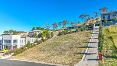 Residential Block For Sale - NSW - Tamworth - 2340 - VENDOR WANTS SOLD! (Image 2)