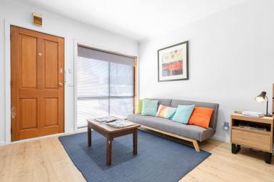 Unit For Sale - VIC - Red Cliffs - 3496 - Fully renovated studio apartment! (Image 2)