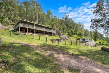 House For Sale - NSW - Putty - 2330 - Escape to Nature: Off-Grid Rural Paradise on 118 Acres *  (Image 2)