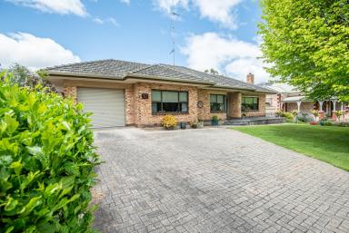 House For Sale - SA - Naracoorte - 5271 - Expansive Lawns, Great Shedding, Double Brick & Tile Home - 2,020m2 (Image 2)