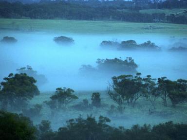 Other (Rural) For Sale - WA - Gwambygine - 6302 - "Gwambygine Hill" 341 ASL 11Km from York Town Centre.  (Image 2)