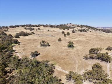 Other (Rural) For Sale - WA - Gwambygine - 6302 - "Gwambygine Hill" 341 ASL 11Km from York Town Centre. (Image 2)