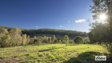 Residential Block For Sale - QLD - Laidley - 4341 - First Time Offered in Over a Century – Rare 80-Acre Lifestyle Opportunity on the Edge of Laidley  (Image 2)