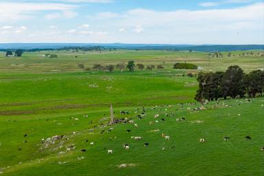 Mixed Farming Auction - NSW - Crookwell - 2583 - The Complete Package!  (Image 2)