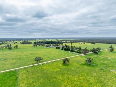 Mixed Farming For Sale - SA - Bangham - 5268 - Carmel and Gilead (Image 2)