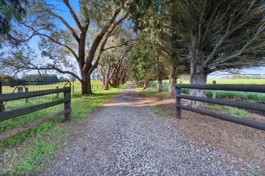 Mixed Farming For Sale - VIC - Warragul - 3820 - Landsborough Stud - 4 Titles - 3 Road Frontages - 164 Acre Equine Breeding / Training Stud (Image 2)